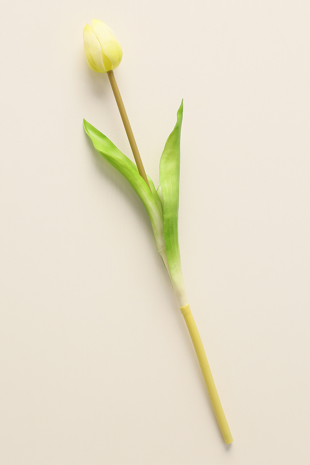 фото Декоративное растение leonardo тюльпан 36 см