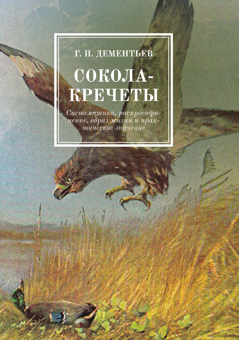 

Сокола-кречеты