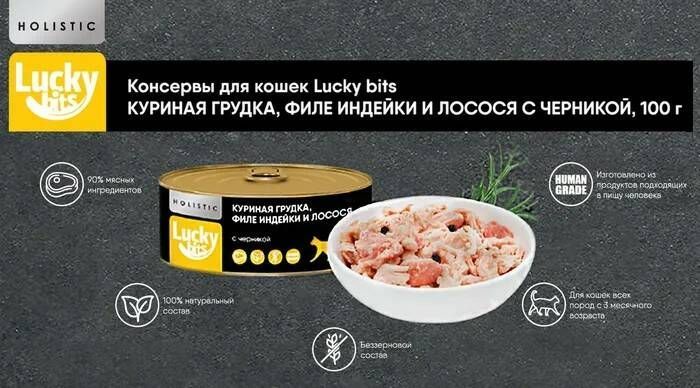 Консервы для кошек Lucky bits куриная грудка филе индейки и лосося с черникой 100 г 2 шт