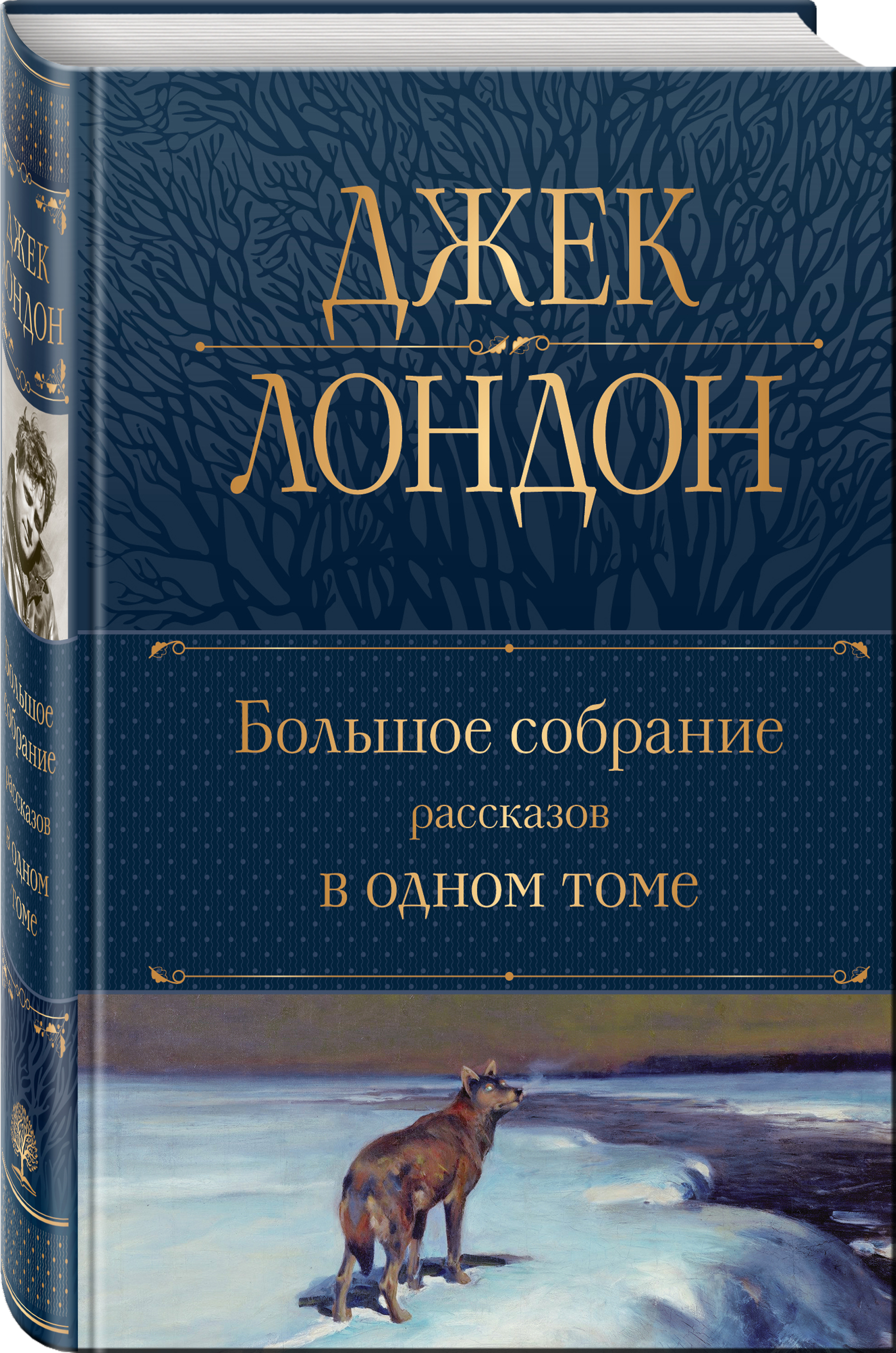 

Большое собрание рассказов в одном томе