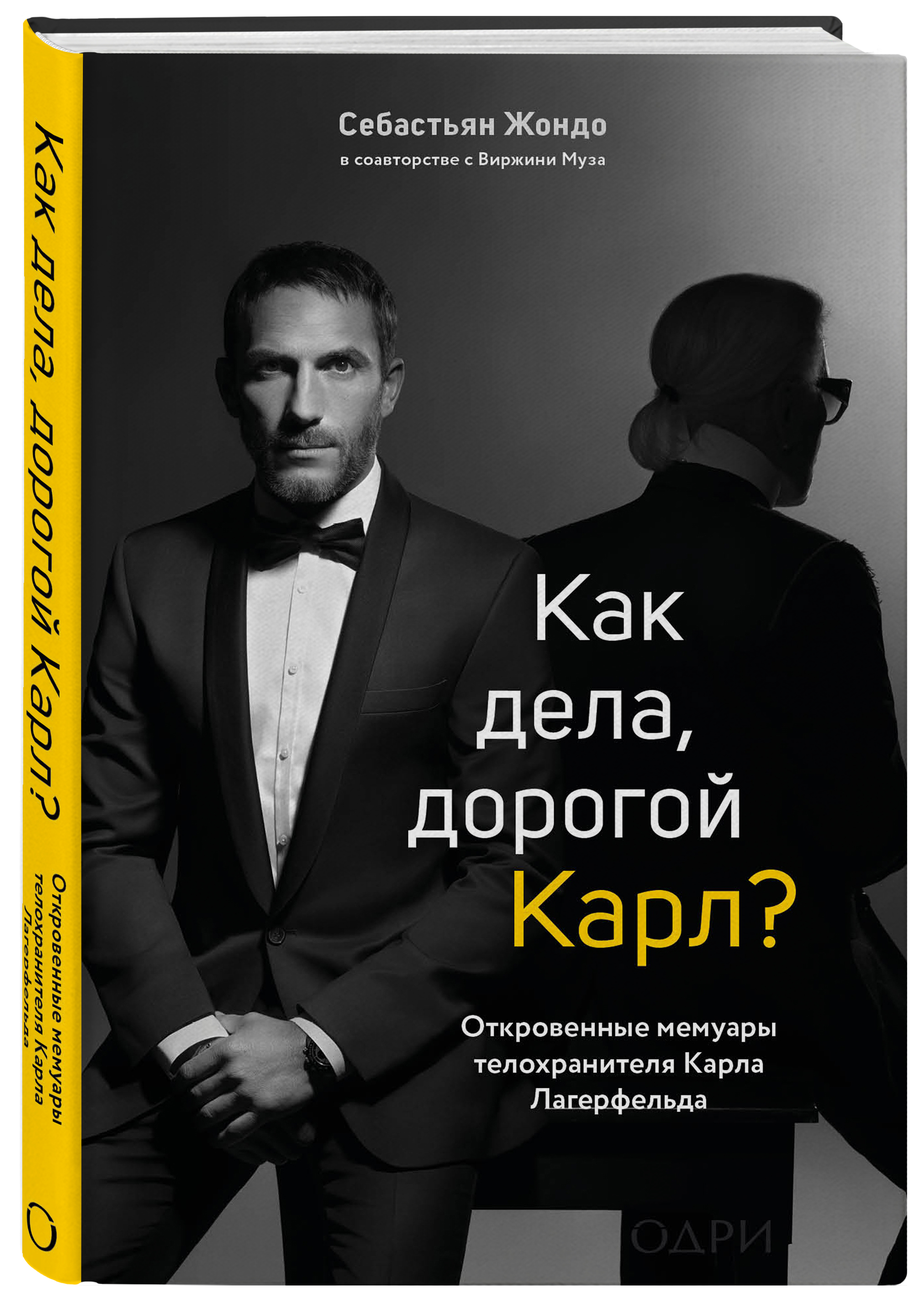 

Как дела, дорогой Карл Откровенные мемуары телохранителя Карла Лагерфельда