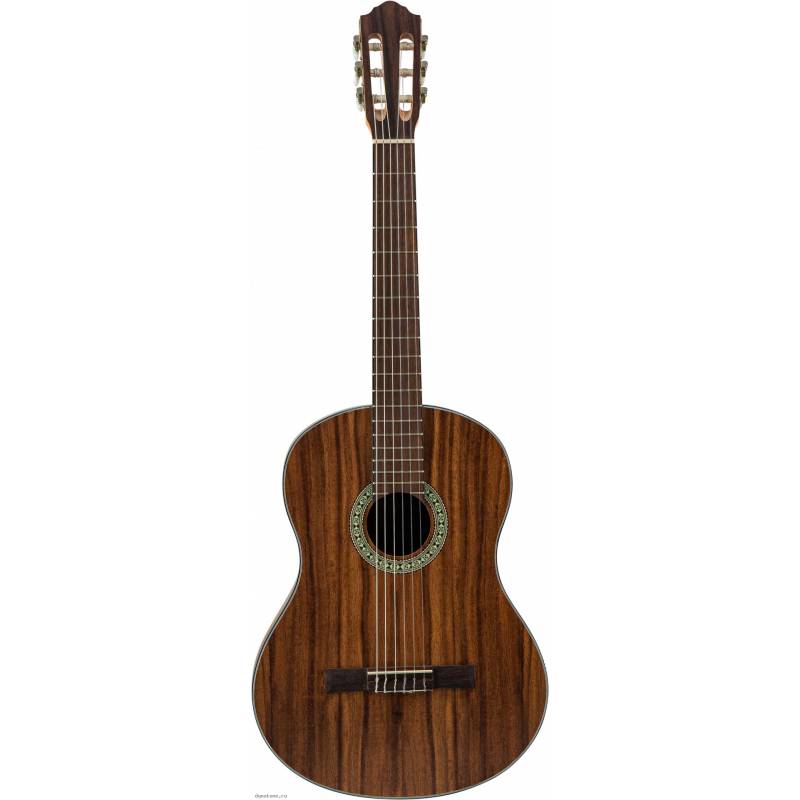 

Flight C-110 Teak 4/4 - классическая гитара 4/4