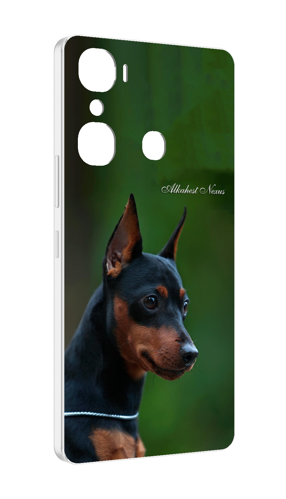

Чехол MyPads цвергпинчер черпинчер для Infinix Hot 12 Pro, Прозрачный, Tocco