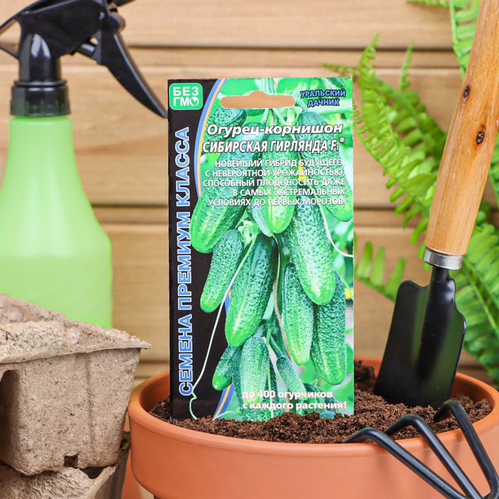 

Семена Огурец "Сибирская Гирлянда" F1 скороспелый, партенокарпический, 5 шт