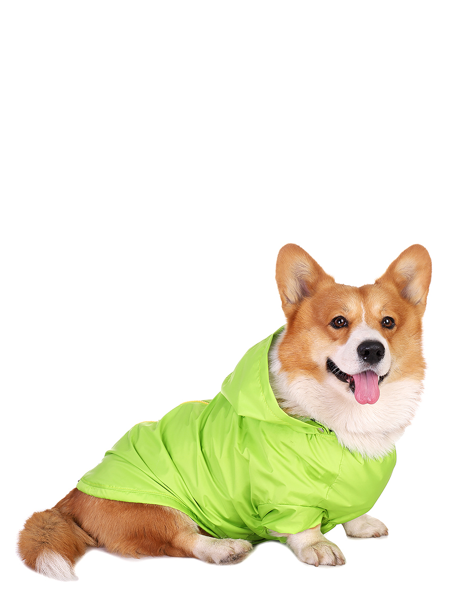 фото Дождевик для собак монморанси корги, зеленый, l, длина спины 50 см