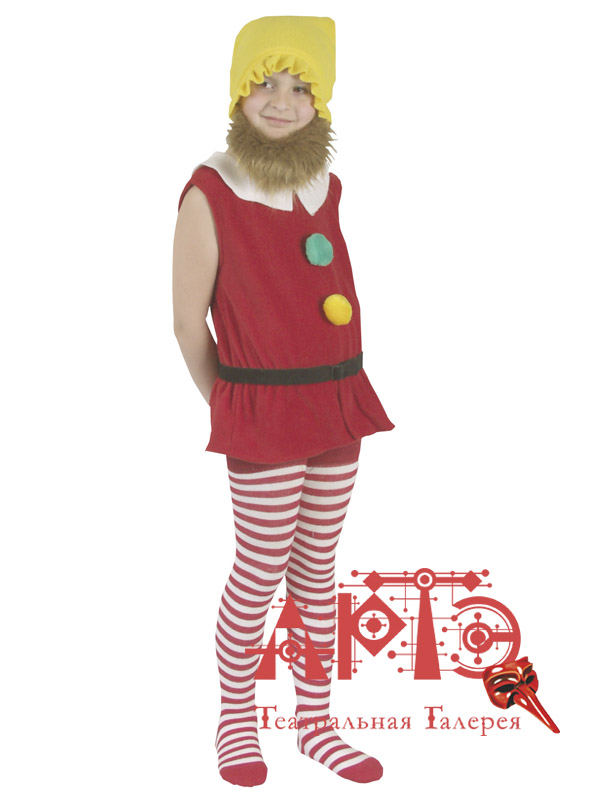 

Костюм "Гномик" (Цв: Разноцветный Размер: 28), 7C-381-PI