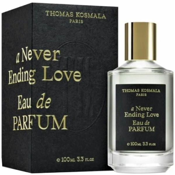 Парфюмированная вода унисекс Thomas Kosmala A Never Ending Love 100мл albers and morandi never finished