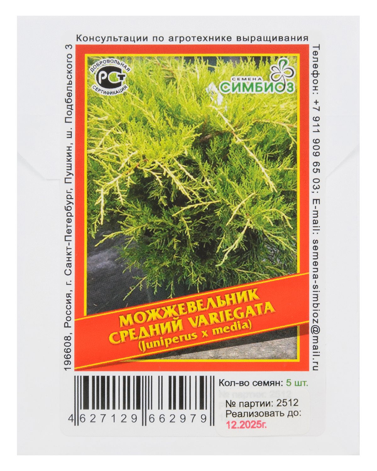 

Можжевельник средний «Variegata» - 5 шт.
