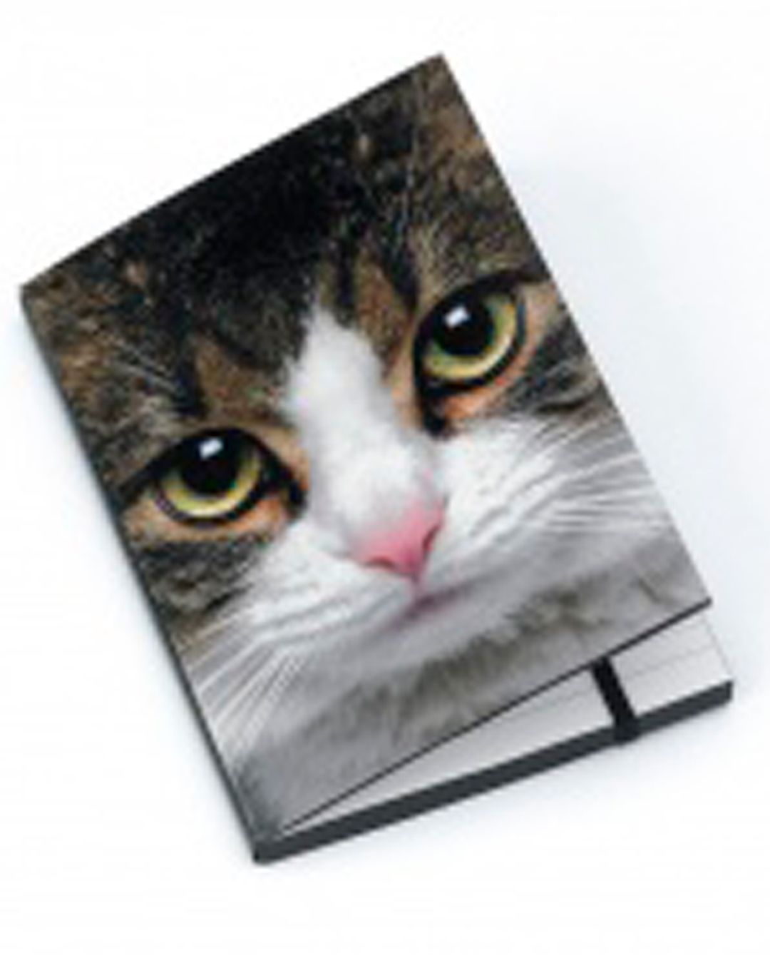 

Блокнот для записей А6 Tabby Cat
