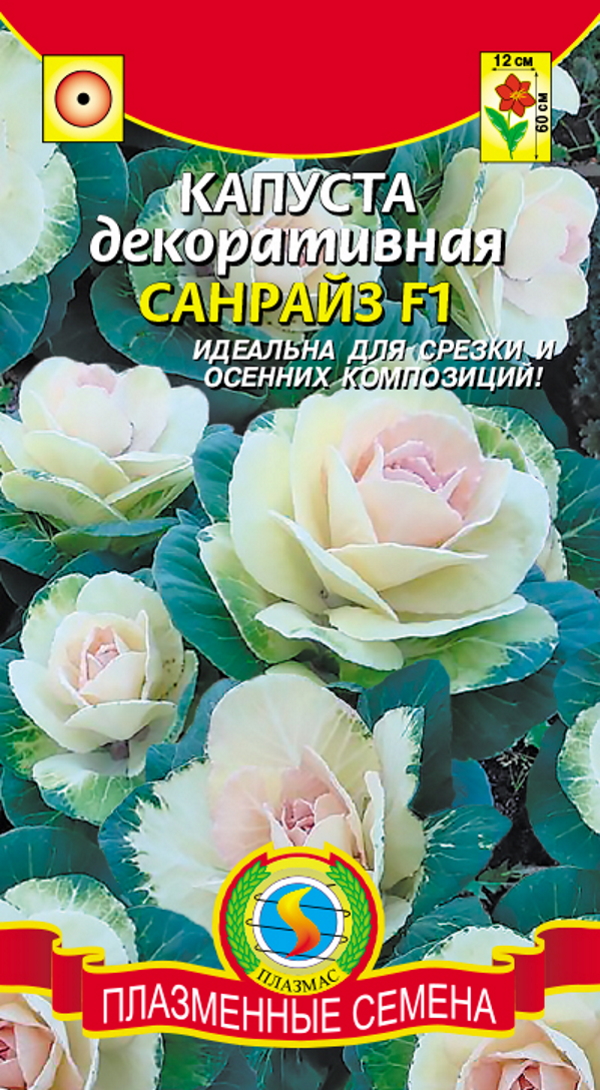 

Капуста декоративная Санрайз F1, 10 шт.