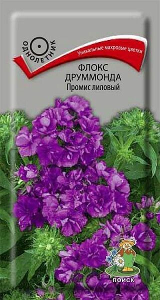 

Семена флокс Поиск Друммонда промис 1 уп.