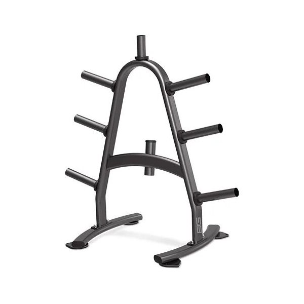 

Стойка для дисков BRONZE GYM BR-1022