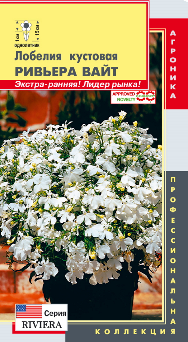 

Лобелия Ривьера Вайт, 8 мультидраже Профессиональная коллекция