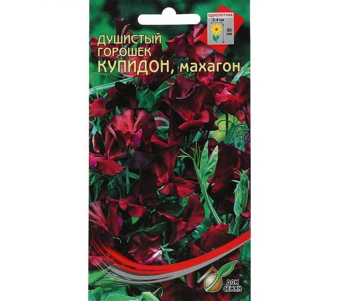 

Семена душистый горошек Дом семян Купидон махагон 1 уп.
