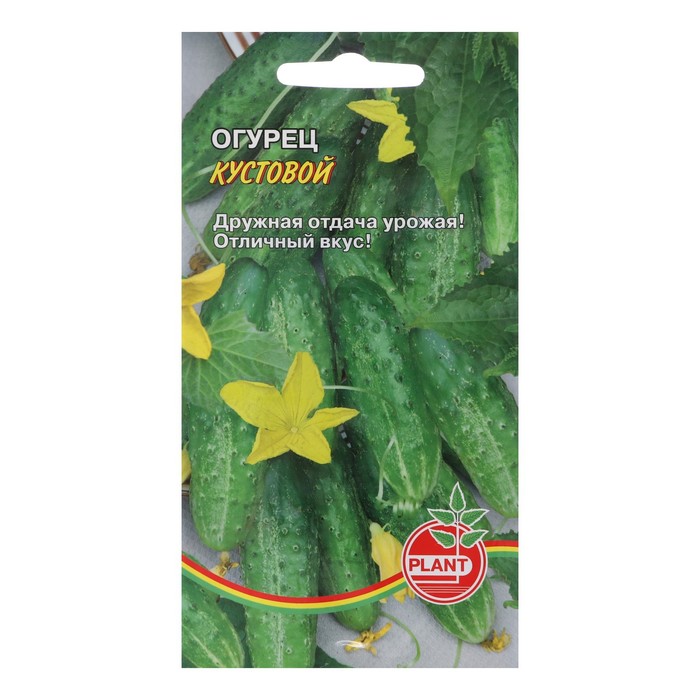 

Семена огурец Plant Кустовой Р00012681 1 уп.