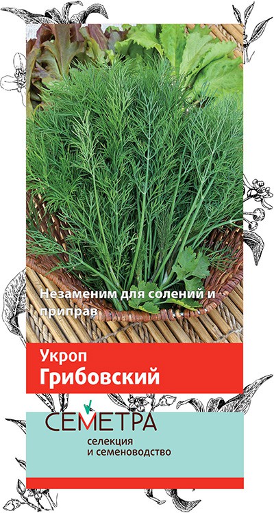 

Семена укроп Грибовскирй Поиск 717
