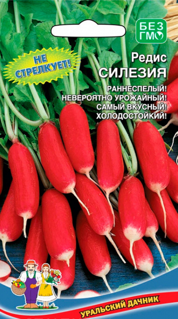 

Редис Силезия, 2 г