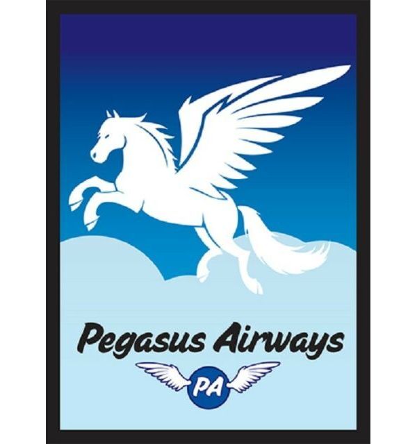 

Протекторы для карт Legion Supplies Pegasus Air 50 штук, ART039