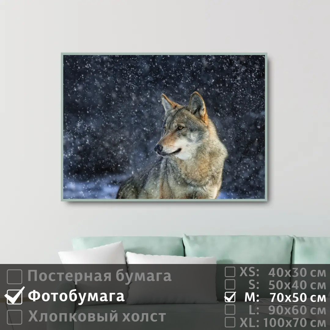 

Постер на фотобумаге ПолиЦентр Одинокий волк в зимнем лесу 70х50 см, ОдинокийВолкВЗимнемЛесу