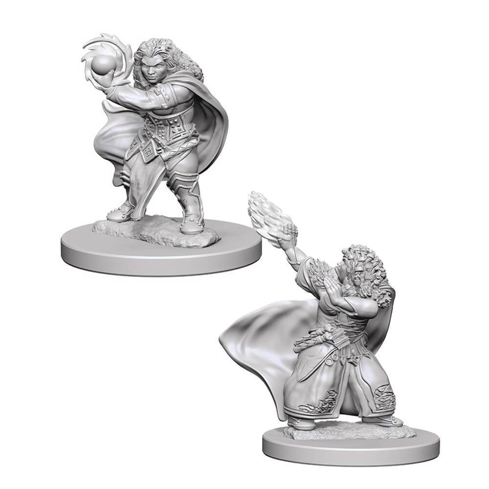 фото Миниатюра wizkids dwarf female wizard / дворфийские волшебницы