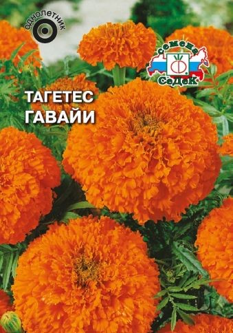 

Семена бархатцы СеДеК Гавайи 1681 1 уп.