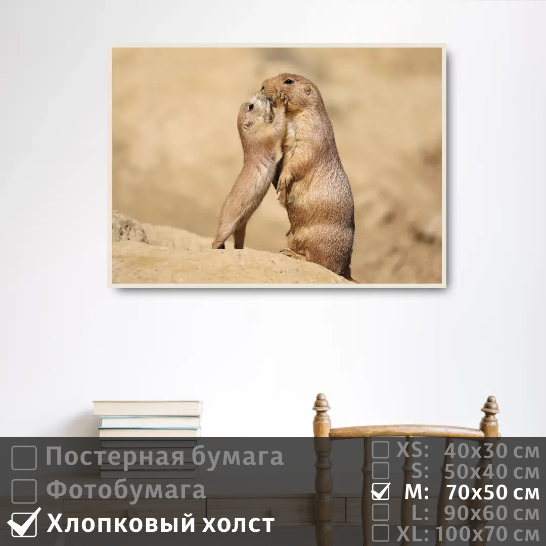 

Постер на холсте ПолиЦентр Ребенок суриката целует свою маму 70х50 см, РебенокСурикатаЦелуетСвоюМаму