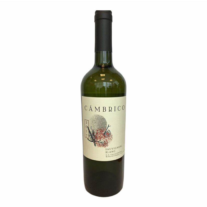 

Вино Cambrico Sauvignon Blan белое сухое 12% 0,75 л Чили