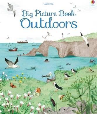 

Книга Big Picture Book of Outdoors