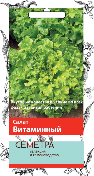 

Салат "Поиск" Витаминный 1г