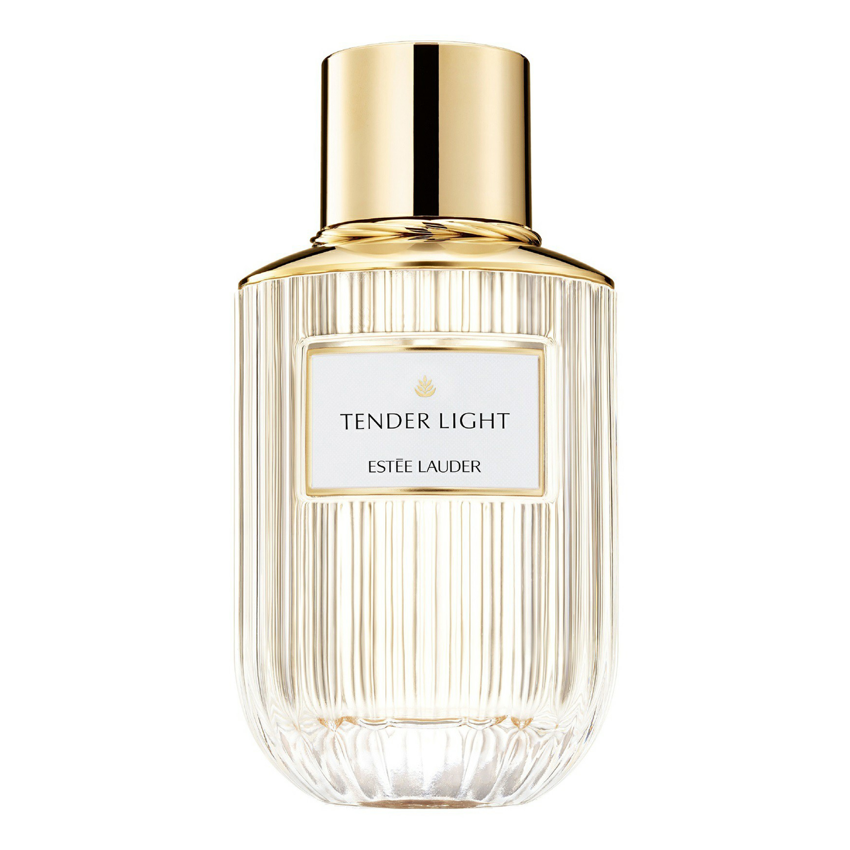 Парфюмерная вода Estee Lauder Tender Light Eau de Parfum женская, 100 мл natural instinct парфюмерная вода с феромонами tender rose 50 0