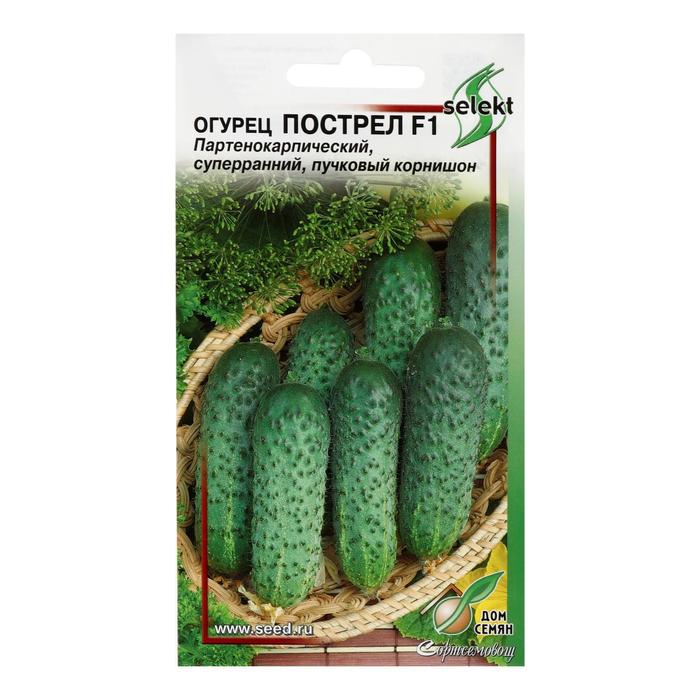 

Семена Огурец "Пострел", F1 10 шт