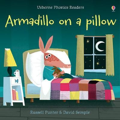 

Armadillo on a Pillow