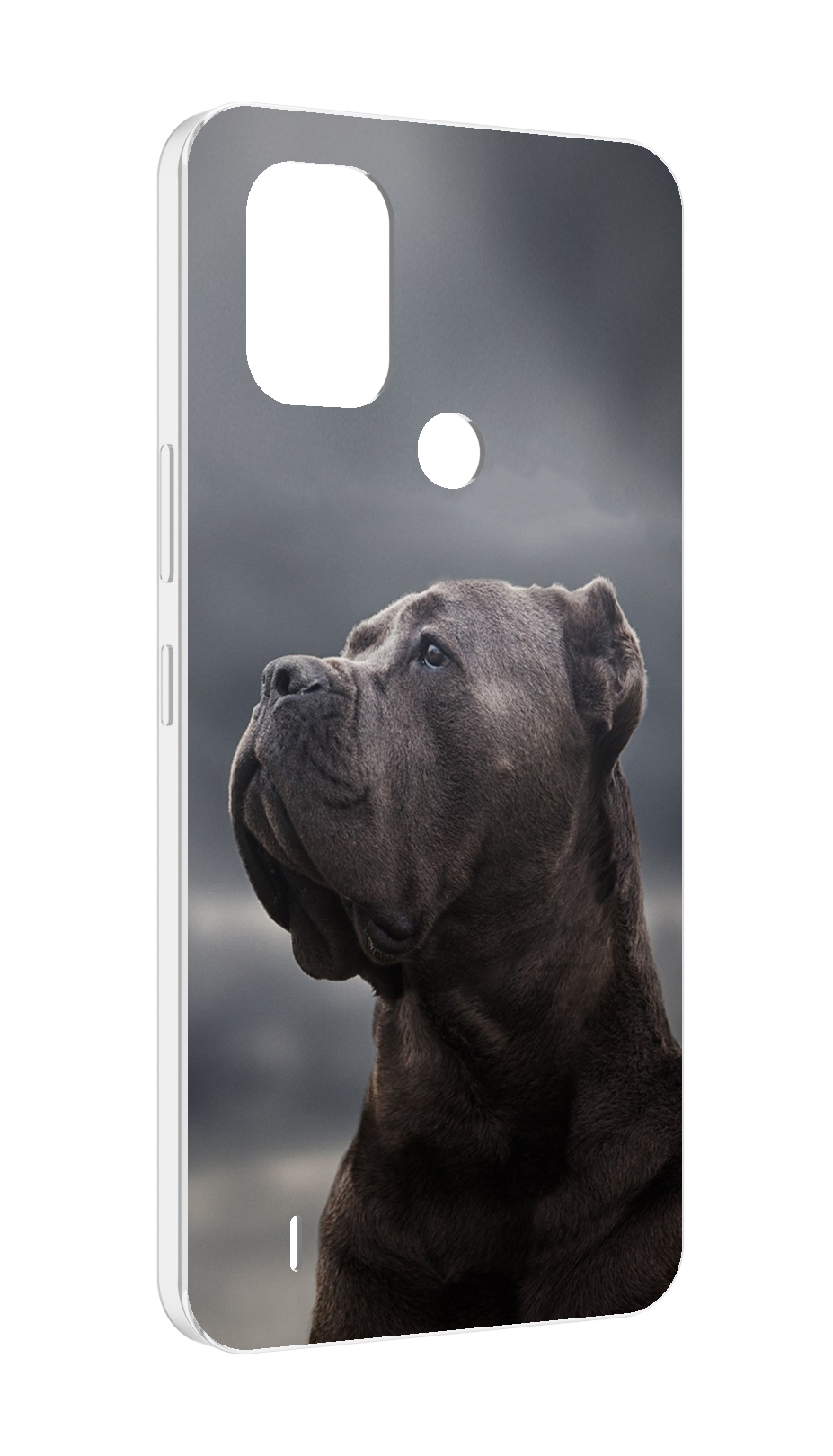 

Чехол MyPads кане корсо для Nokia C31, Прозрачный, Tocco