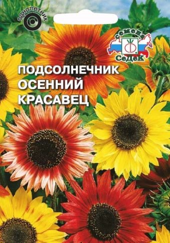 

Семена подсолнечник СеДеК Осенний красавец 1678 1 уп.