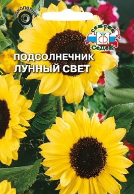 

Семена подсолнечник СеДеК Лунный свет 3408 1 уп.