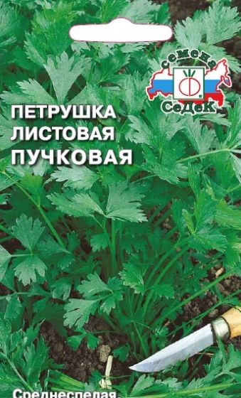 

Семена петрушка СеДеК пучковая 1467 1 уп.