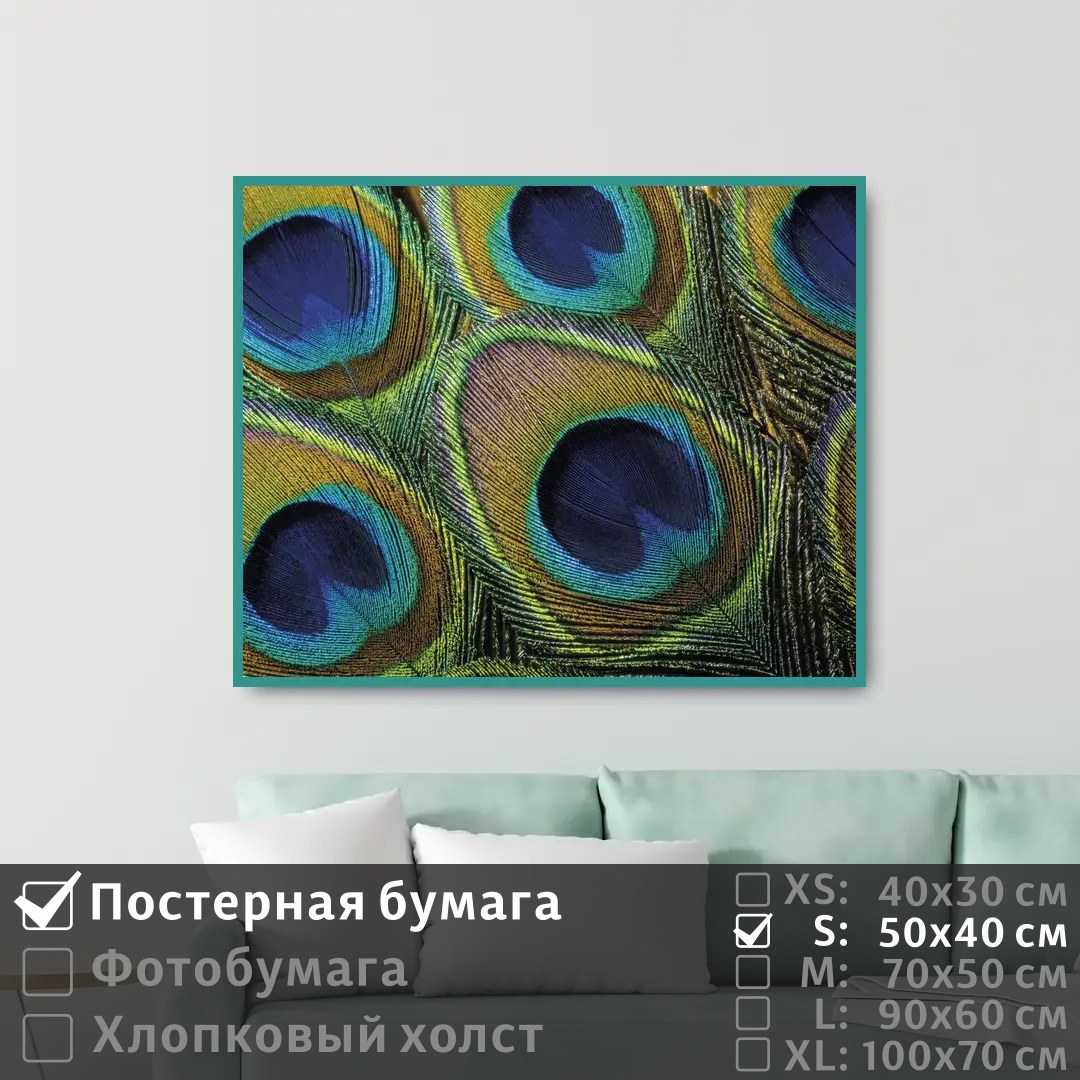

Постер на стену ПолиЦентр Перья павлина 50х40 см, ПерьяПавлина
