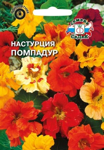 

Семена настурция СеДеК Помпадур 1699 1 уп.
