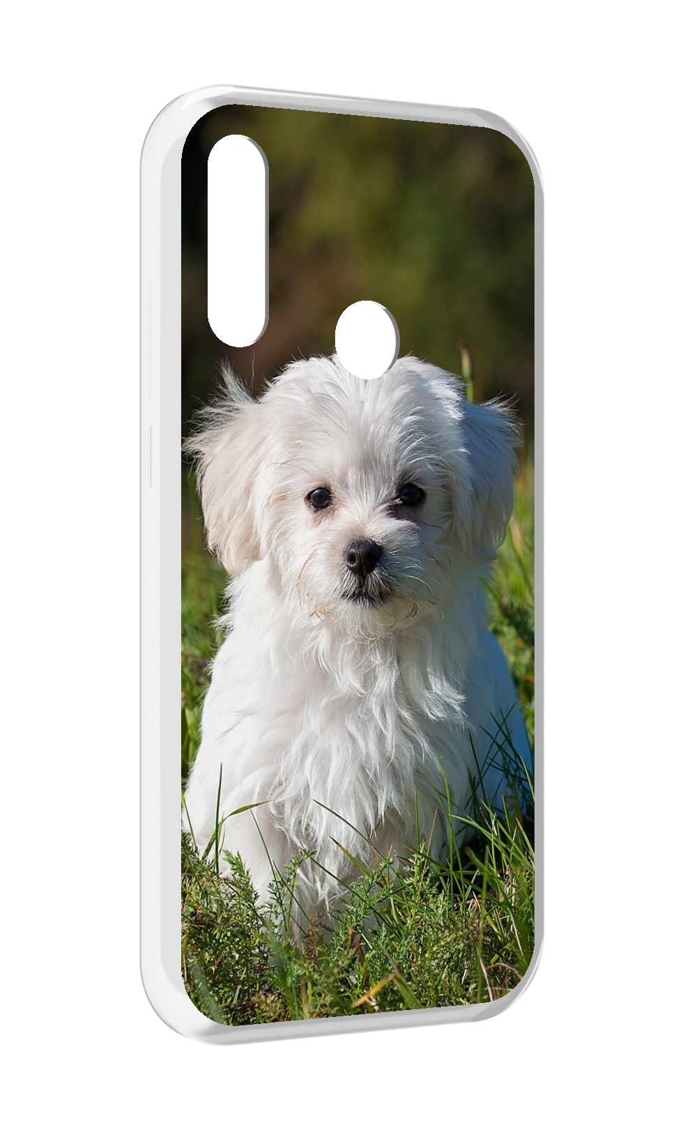 

Чехол MyPads мальтииская-болонка для Lenovo Z6 Pro Youth Edition / Z6 Pro Lite, Прозрачный, Tocco