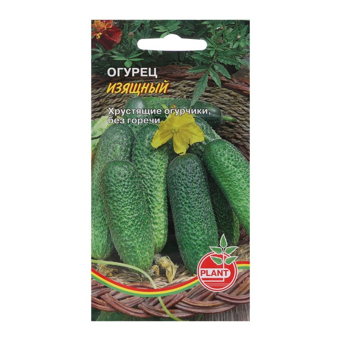 

Семена Огурец "Изящный", 10 шт