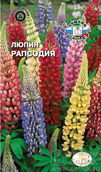 

Семена люпин СеДеК Рапсодия 1690 1 уп.