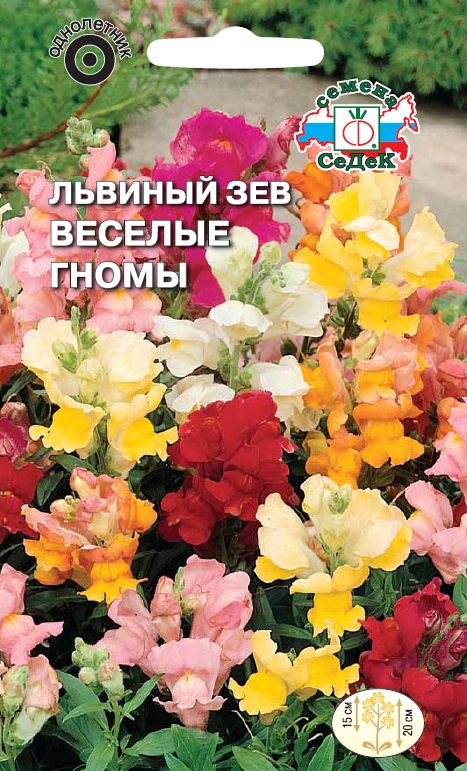 

Семена львиный зев СеДеК Веселые гномы 1508 1 уп.