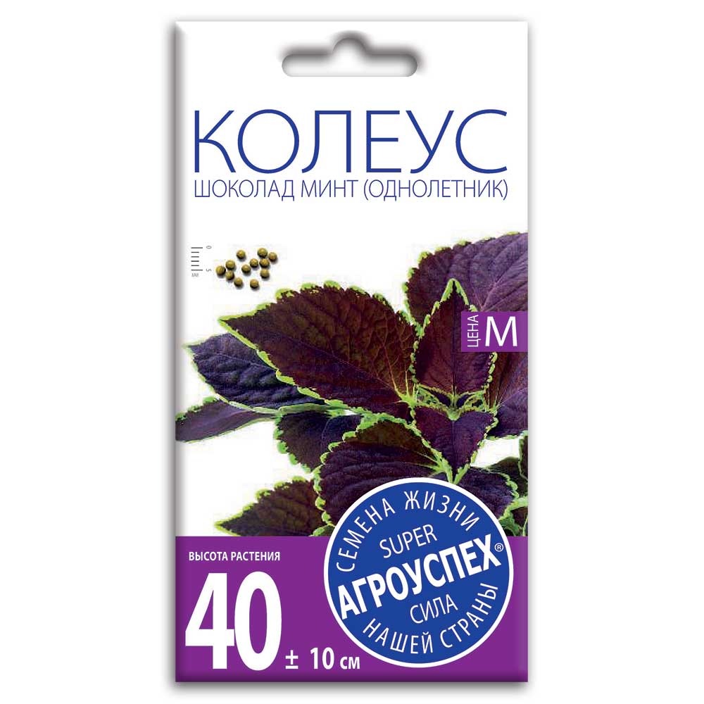 

Семена колеус Агроуспех Шоколад минт 1 уп.
