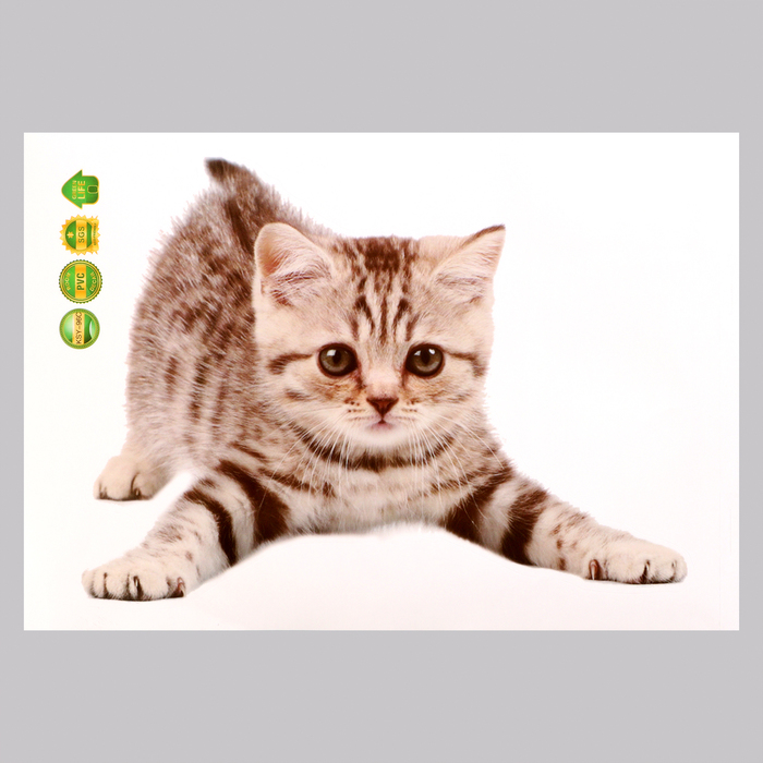 

Наклейка 3Д интерьерная Котик 29*21см, Коричневый