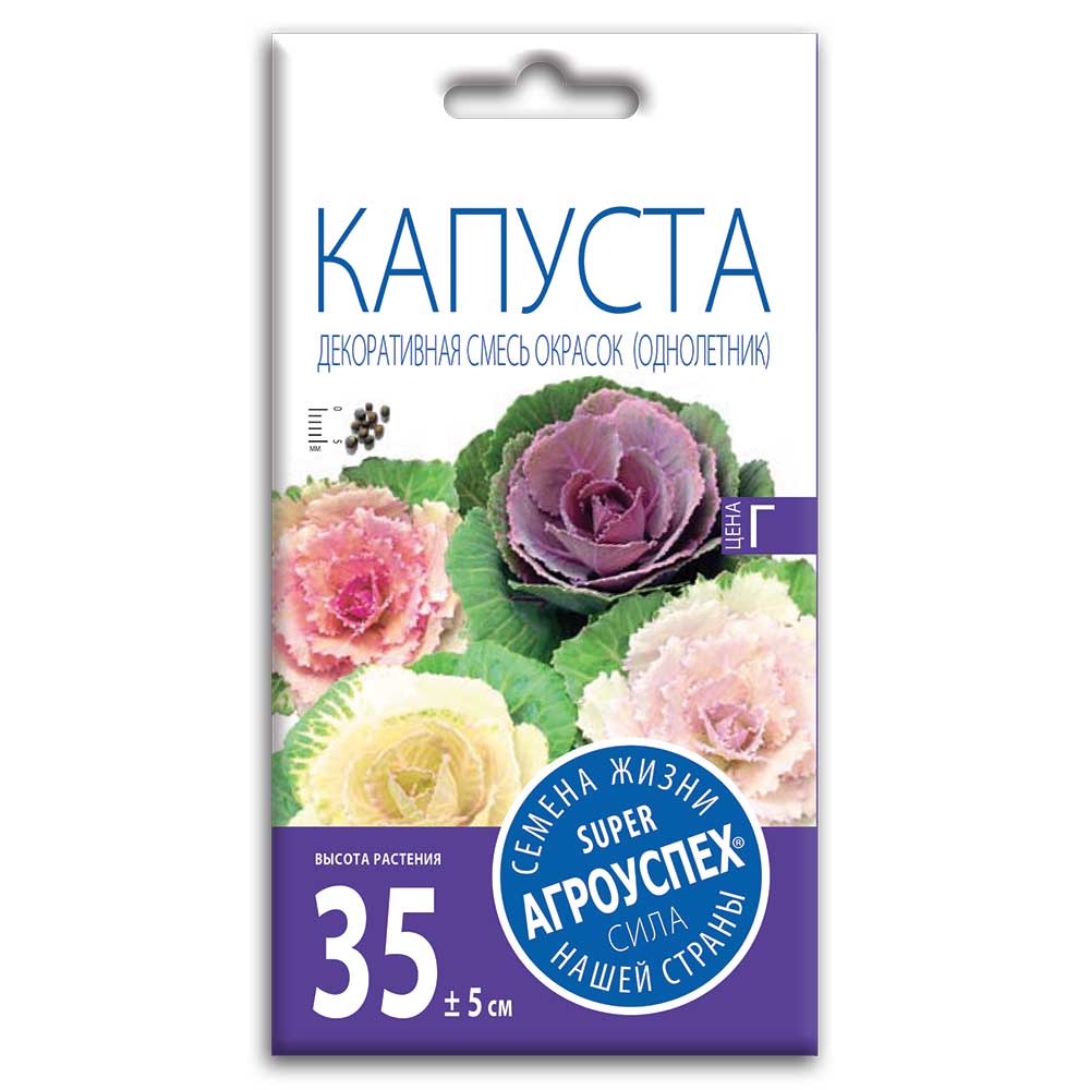 

Капуста декоративная смесь окрасок, семена Агроуспех 0,3г
