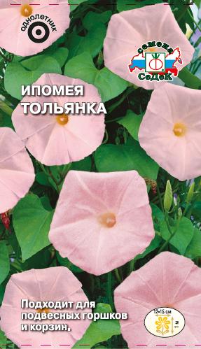 

Семена ипомея СеДеК Тольянка 1632 1 уп.