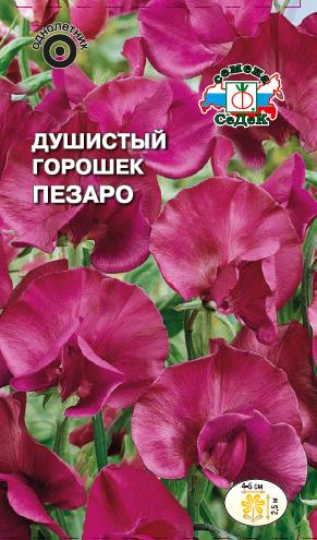 

Семена душистый горошек СеДеК Пезаро 1510 1 уп.
