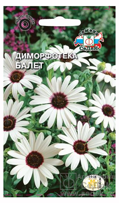 

Семена диморфотека СеДеК Балет 9725 1 уп.