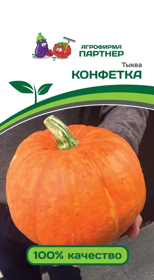 

Семена Тыква Конфетка 5 шт Партнер
