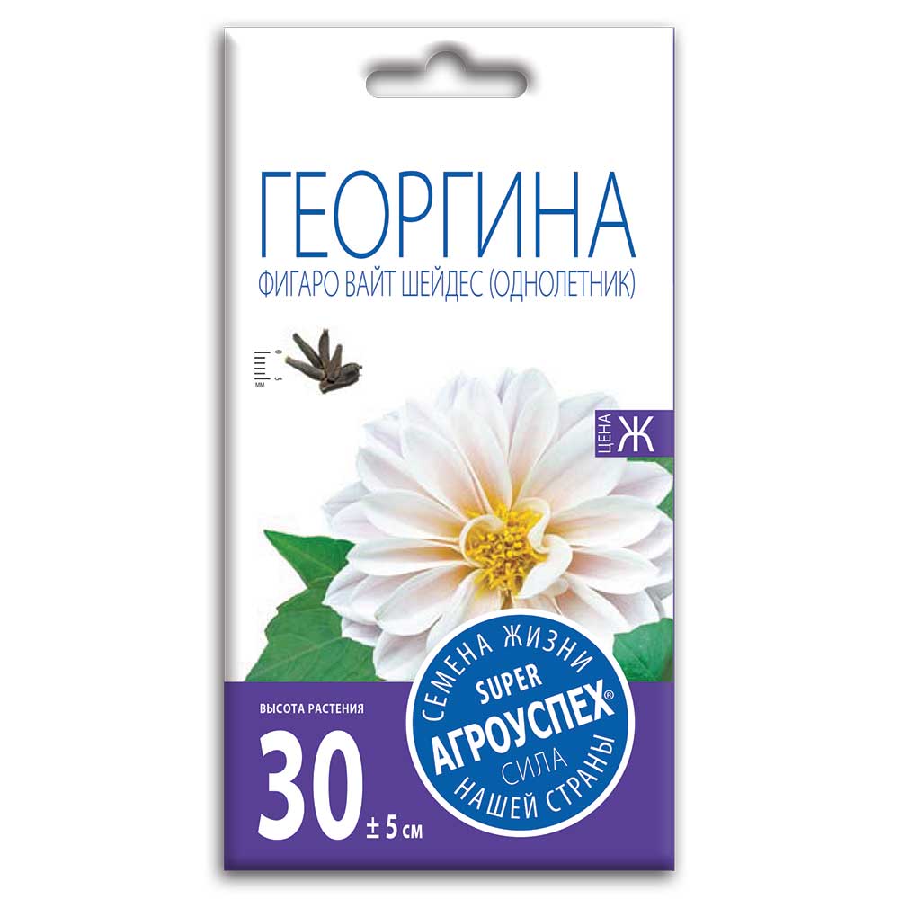 

Георгина Фигаро Вайт Шейдес, семена Агроуспех 7шт